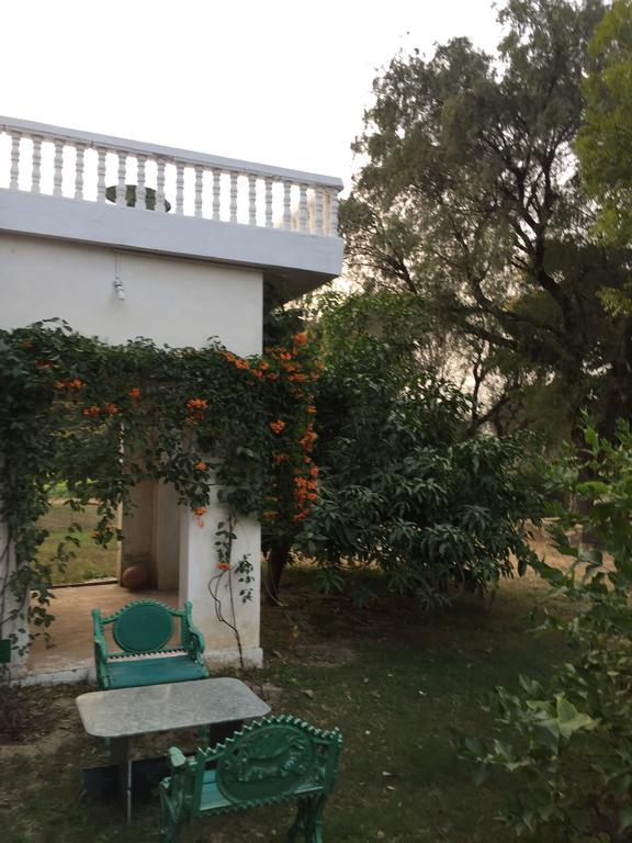 Savista Retreat Hotell Jaipur Exteriör bild